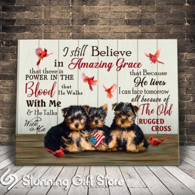 Stunning Gift Top 7 Gorgeous Yorkie Canvases I Still Believe In Amazing Grace Jesus Hymn Song Lyric Wall Art Wall Decor Gift Idea For Christian