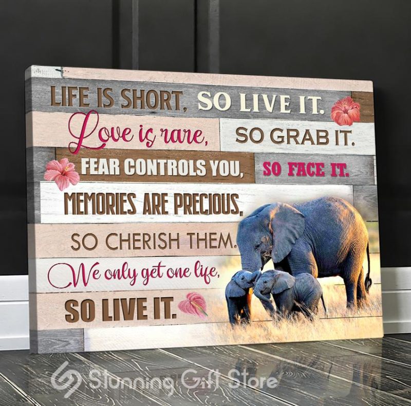 Stunning Gift Top 5 Beautiful Elephant Canvases Wall Art Wall Decor Pink Version - Life Is Short So Live It