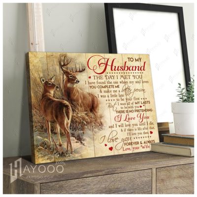 Hayooo To My Husband Wedding Anniversary Gift For Husband Deer Canvas Wall Art Decor The Day I Met You