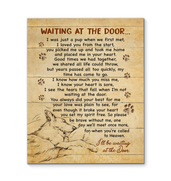 Gl Poster Canvas German Shepherd Waiting At The Door – Art Hoodie