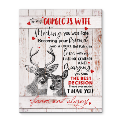 CANVAS DEER To my Wife Meeting you was fate