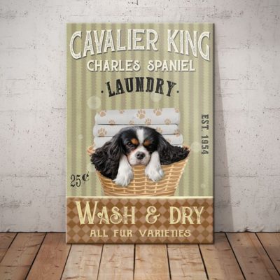 Cavalier King Charles Spaniel Dog Laundry Company Canvas FB1902 69O51 Cavalier King CHarles Dog Canvas