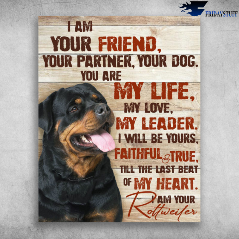 I Am Your Friend Your Partner Your Dog I Am Your Rottweiler Till The Last Beat
