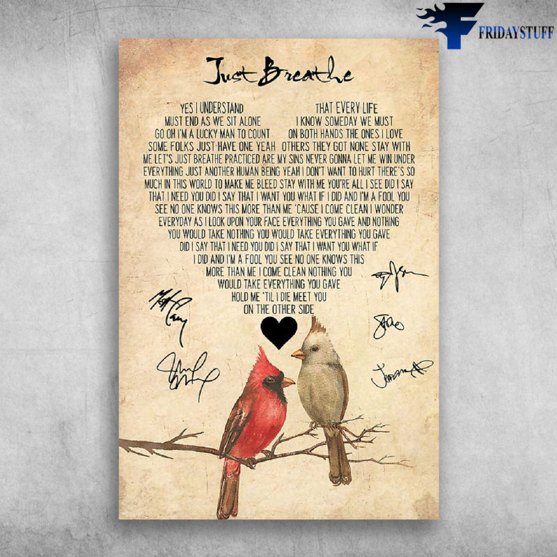Just Breathe - Live At Austin City Limits - Pearl Jam - Couple cardinal bird