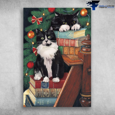 The Norwegian Forest Cat Cute Black Cat On Christmas