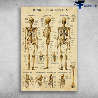 The Skeletal System Radiologist Community Poster Canvas – Art Hoodie