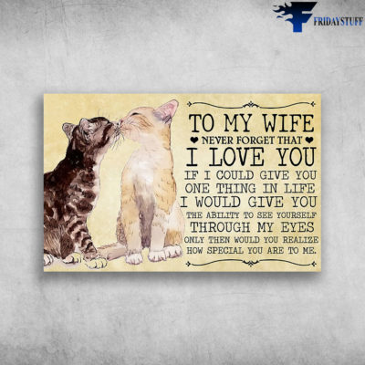 To My Wife Never Forget That I Love You How Special You Are To Me Couple Cats