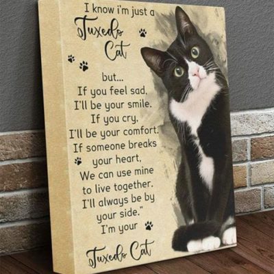 I am just a Tuxedo Cat Canvas NDY