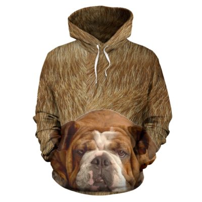 Rainbow Bully Pullover Hoodie