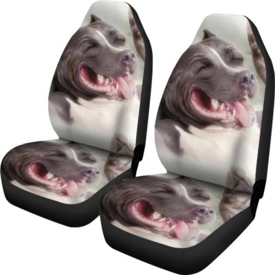 Smiling Pit Car Seat Covers (set of 2)
