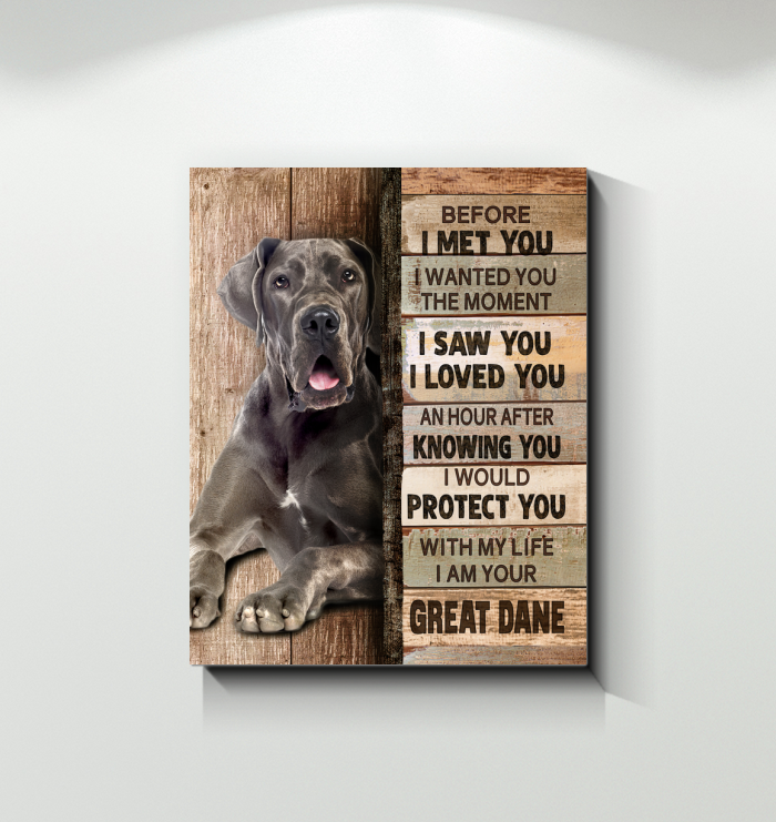 will a great dane protect you