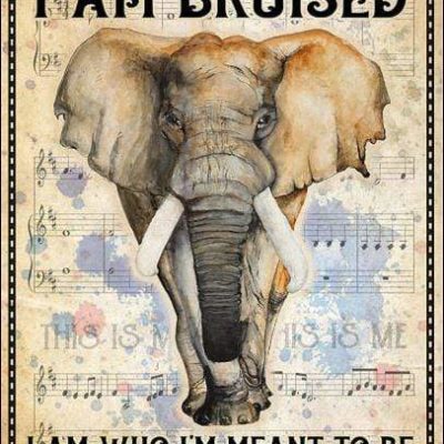 Elephant I am brave I am bruised I am who i?m meant to be this is me Christmas gift family canvas print #V