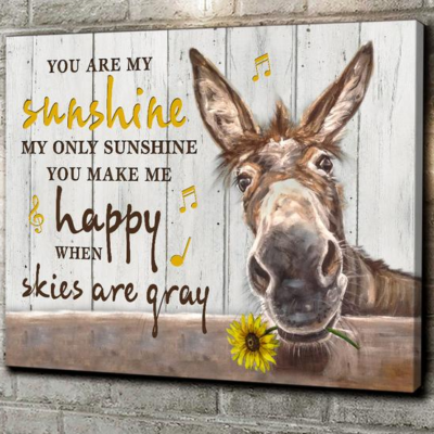 Donkey, You are my sunshine - Matte Canvas, donkey lover, Christmas gift c12