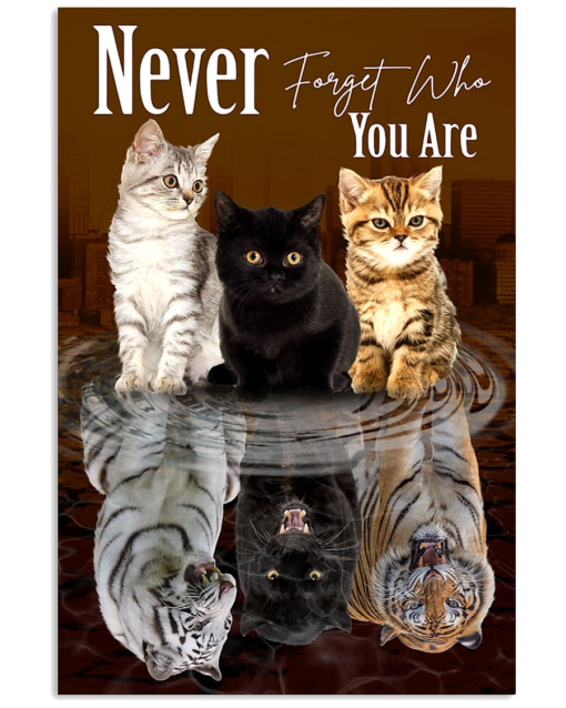 Cat Tiger Reflection Poster Canvas Never Forget Who You Are Vintage Poster Canvas