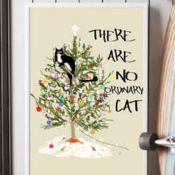 Funny Black Cat Christmas Poster Canvas There Are No Ordinary Cat Poster Canvas