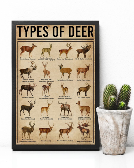 Types Of Deer Collection Poster Canvas Vintage Poster Canvas - Art Hoodie