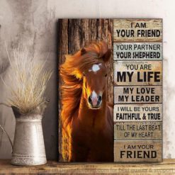Horse I Am Your Friend Poster Canvas LN