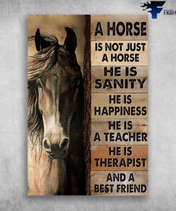 A Horse Is Not Just A Horse He Is Sanity And A Best Friend
