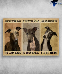 Greyhound Dog - When It's Too Hard To Look Back