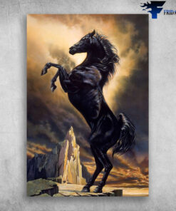 Horse Girl United Horse Neigh Beautiful Black Horse