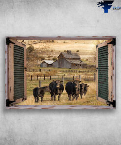 The Cows On Farm Out Side The Window