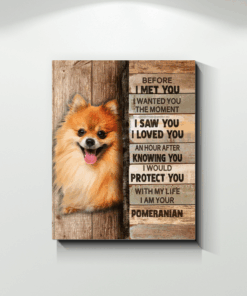 Pomeranian Protect Canvas [0206-A]