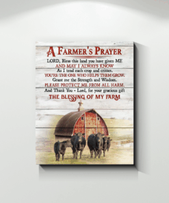 Canvas Angus Cow A Farmer'S Prayer