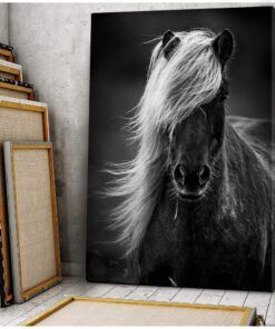 Horse Black and White Canvas Prints #2109V