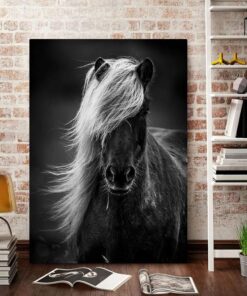 Horse Black and White Canvas Prints #2109V