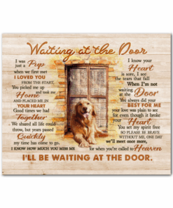 Canvas Dog Golden Waiting At The Door