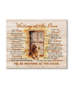 Canvas Dog Golden Waiting At The Door