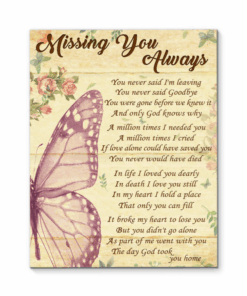 Canvas Butterfly Missing You Always