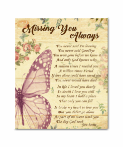 Canvas Butterfly Missing You Always