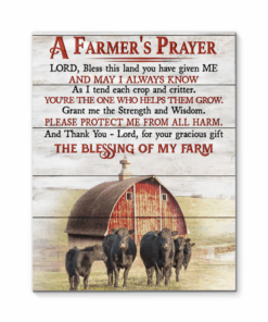 Canvas Angus Cow A Farmer'S Prayer