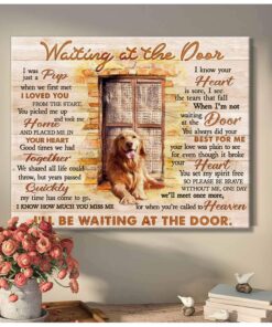 Canvas Dog Golden Waiting At The Door